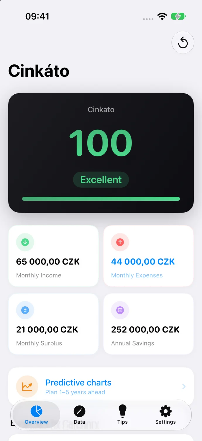 Overview screen with a score of 100, excellent